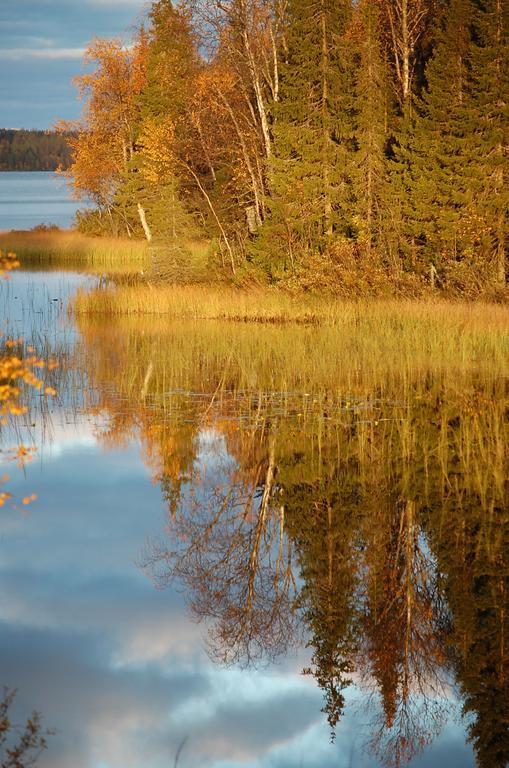 Rukanelioe Cottage Eksteriør billede