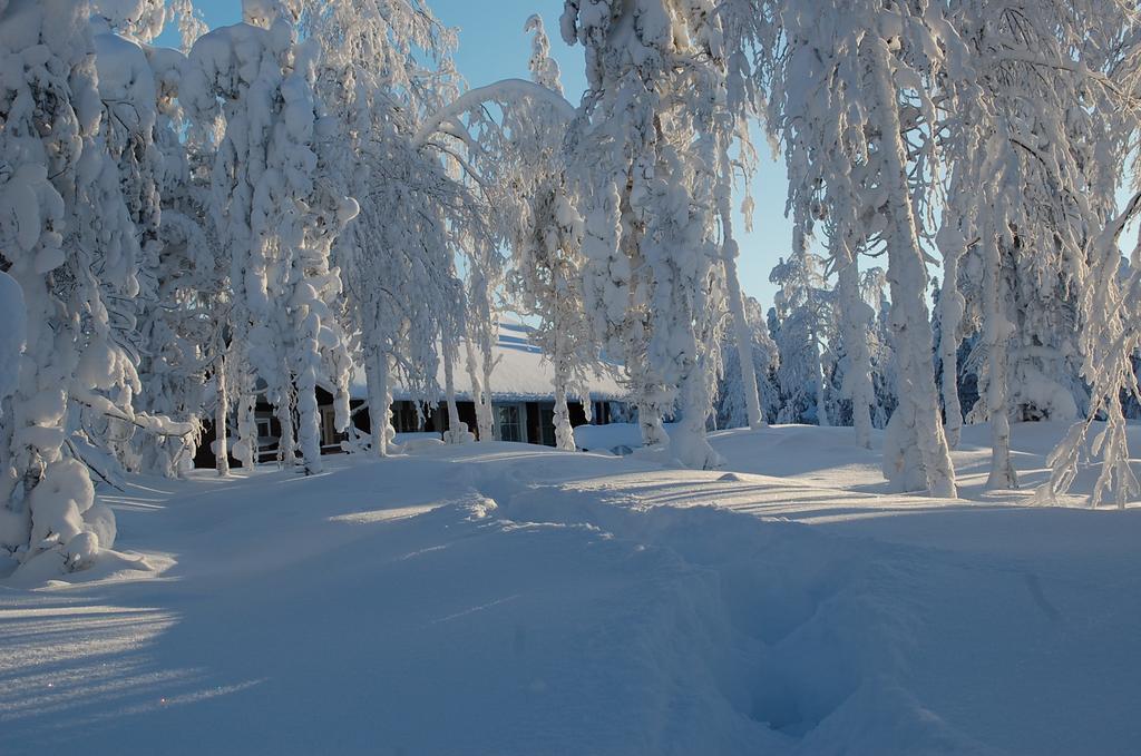 Rukanelioe Cottage Eksteriør billede